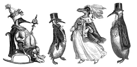 Penguin Anthropomorphs