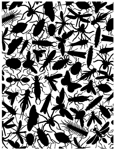 Bugs Background