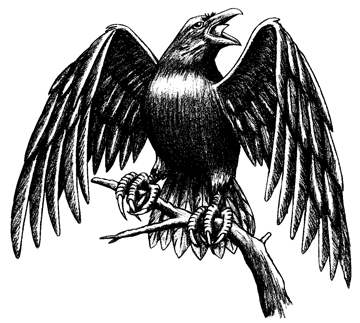Goth Raven
