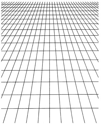 Large Perspective Grid