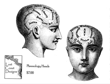 Pair of Phrenology Heads