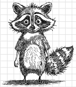 Cartoon Raccoon
